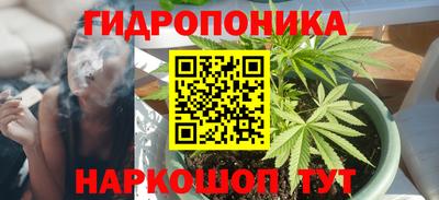 apvp Краснодар