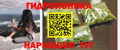 apvp Краснодар