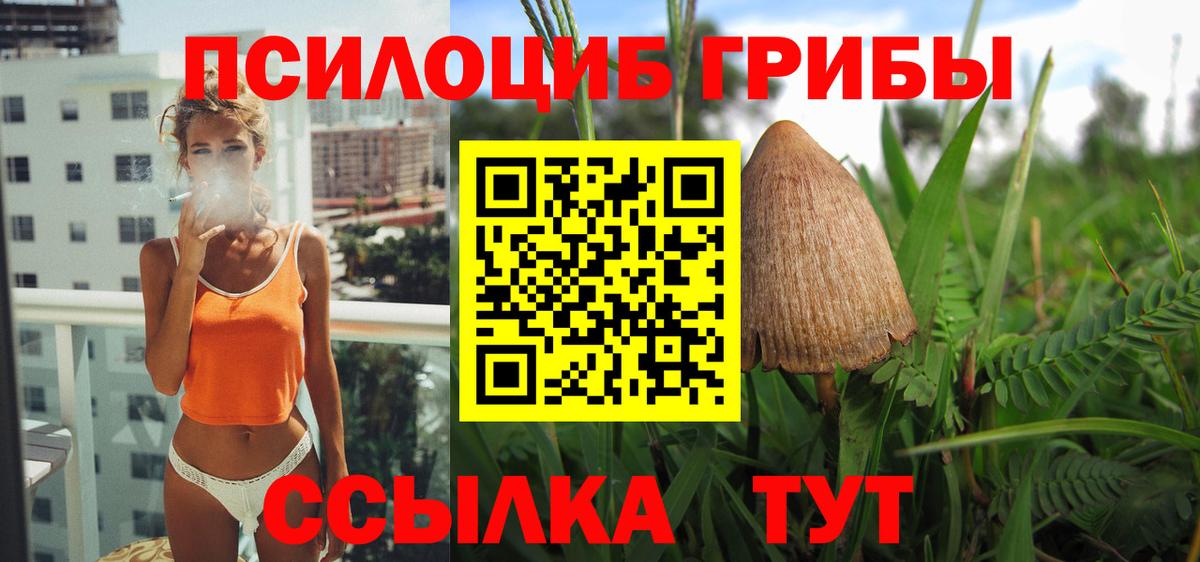 Галлюциногенные грибы Psilocybine cubensis Новокуйбышевск