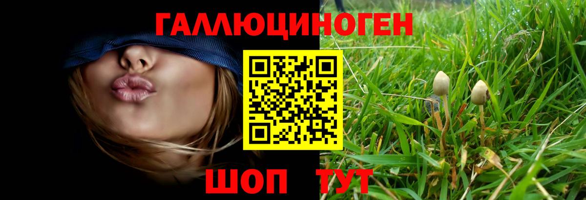 Псилоцибиновые грибы мухоморы  Вход с VPN  цены   Новокуйбышевск  Галлюциногенные грибы Psilocybine cubensis 